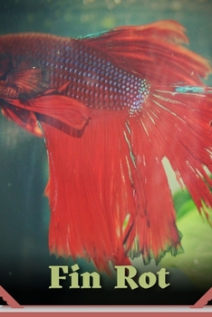 Paperback Fin Rot: What Is It and How Can I Treat It? Book