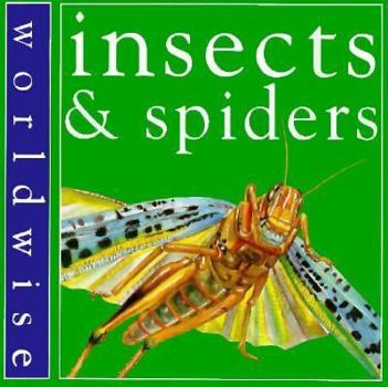 Paperback Insects & Spiders Book