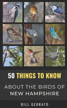 50 Things to Know About Birds In New Hampshire: Birds to Watch in the Granite State