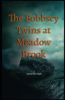 Paperback The Bobbsey Twins at Meadow Brook Illustrated Book