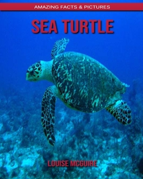 Sea turtle: Amazing Facts & Pictures