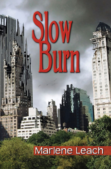 Paperback Slow Burn Book