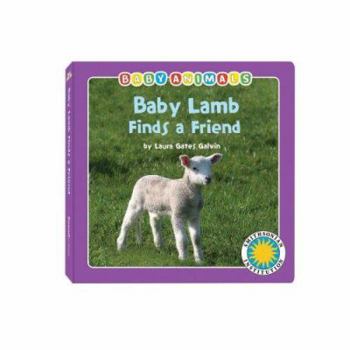 Board book Baby Lamb Finds a Friend Book