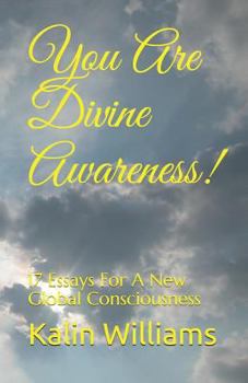 Paperback You Are Divine Awareness!: 17 Essays for a New Global Consciousness Book