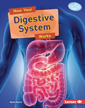 How Your Digestive System Works