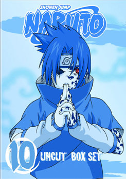 DVD Naruto Box Set Volume 10 Book