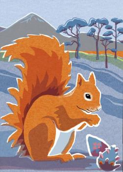 Paperback Nature Notebook: Red Squirrel Book