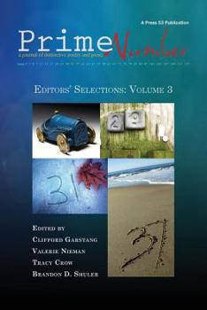 Paperback Prime Number Magazine, Editors' Selections Volume 3 Book