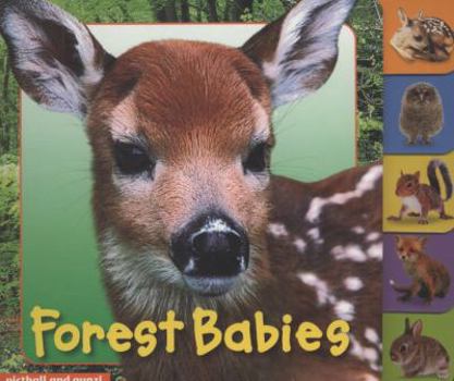 Hardcover Forest Babies Book