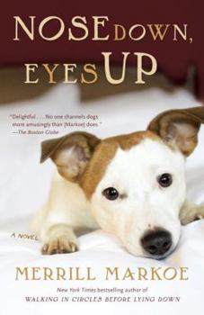 Paperback Nose Down, Eyes Up Book