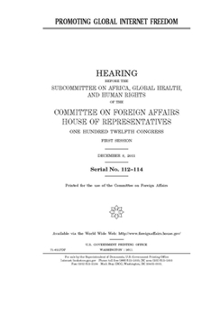 Paperback Promoting global Internet freedom Book