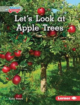 Library Binding Let's Look at Apple Trees Book