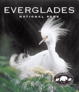 Paperback Everglades National Park: A Tiny Folio Book