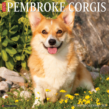 Calendar Just Pembroke Corgis 2025 12 X 12 Wall Calendar Book