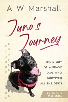 Paperback Juno's Journey Book