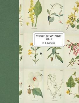 Paperback Vintage Botany Prints: Vol. 4 Book