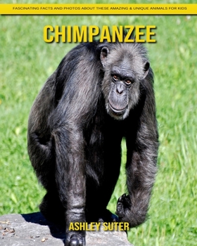 Paperback Chimpanzee: Fascinating Facts and Photos about These Amazing & Unique Animals for Kids Book