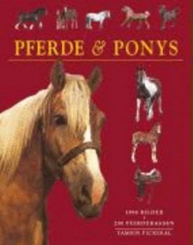 Hardcover Pferde und Ponys. 200 Pferdedrassen [German] Book
