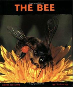 The Bee: Friend of the Flowers (Animal Close-Ups) (Animal Close-Ups) - Book  of the Animal Close-Ups