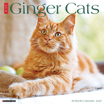 Ginger Cats 2027 12 X 12 Wall Calendar
