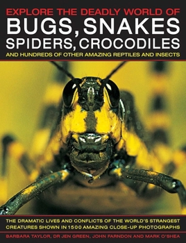 The Amazing World of Bugs, Snakes, Spiders, Crocodiles & Other Things: Discover the Amazing World of Reptiles and Bugs, Featuring More Than 1500 Fabul