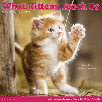 Calendar What Kittens Teach Us 2023 Wall Calendar Book