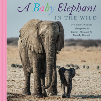 Hardcover A Baby Elephant in the Wild Book