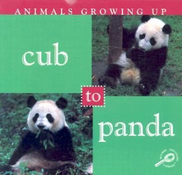 Paperback Cub to Panda (Animals Growing Up) Book