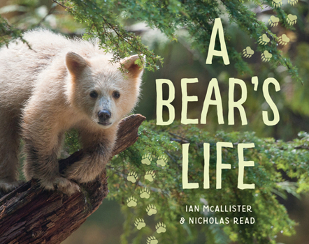 Paperback A Bear's Life Book