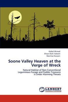 Paperback Soone Valley Heaven at the Verge of Wreck Book