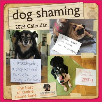 Calendar Dog Shaming 2024 Wall Calendar Book