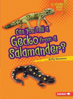 Can You Tell a Gecko from a Salamander? - Book  of the Animal Look-Alikes