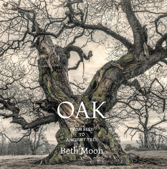 Hardcover Oak: From Seed to Ancient Tree Book