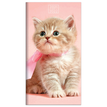 Calendar Cal 2021- Kittens Book