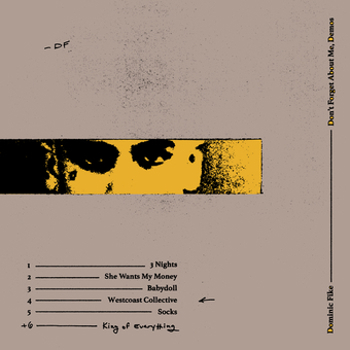 Vinyl Don't Forget About Me, Demos Book