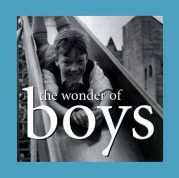 Hardcover The Wonder of Boys: Kim Anderson Collection Book