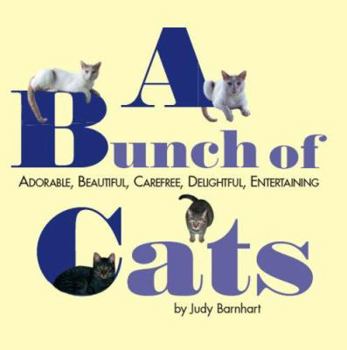 Paperback A Bunch of Cats Book