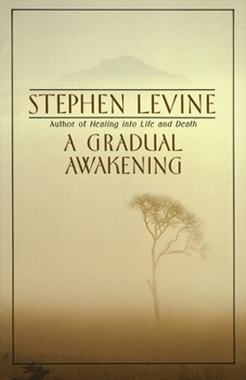 Paperback A Gradual Awakening Book