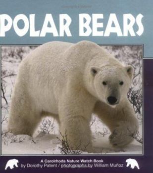 Hardcover Polar Bears Book