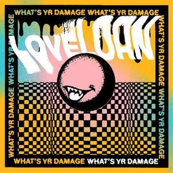 Vinyl What's Yr Damage Book
