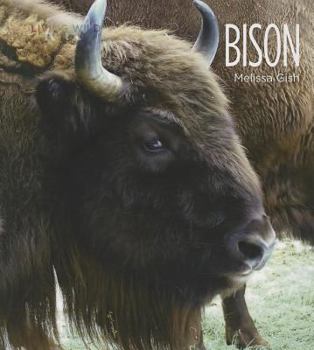 Library Binding Bison Book