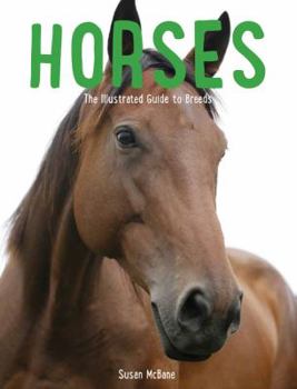 Hardcover Horses: The Illustrated Guide to Breeds Book