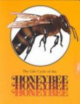 Paperback The Honeybee (Life Cycles Books) Book