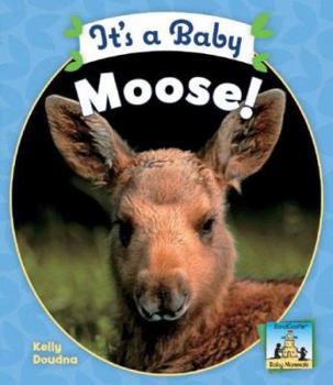 Library Binding It's a Baby Moose Book