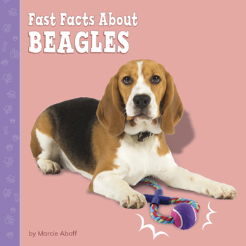 Hardcover Fast Facts about Beagles Book