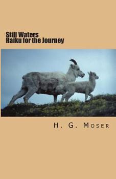Paperback Still Waters: Haiku for the Journey Book