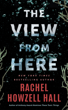 Paperback The View from Here: A Thriller Book