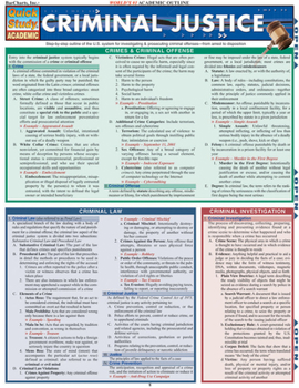 Pamphlet Criminal Justice: Quickstudy Laminated Reference Guide Book