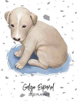 Galgo Español 2020 Planner: Dated Weekly Diary With To Do Notes & Dog Quotes (Awesome Calendar Planners for Dog Owners - Pedigree Puppy Breed)