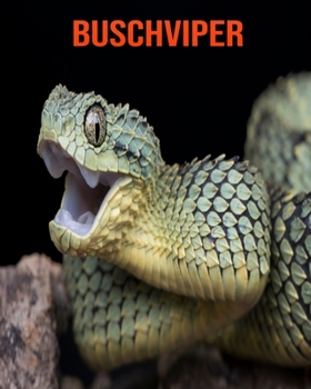 Buschviper: Erstaunliche Fakten & Bilder